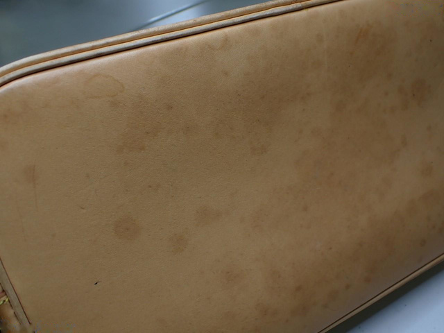 Louis Vuitton Alma