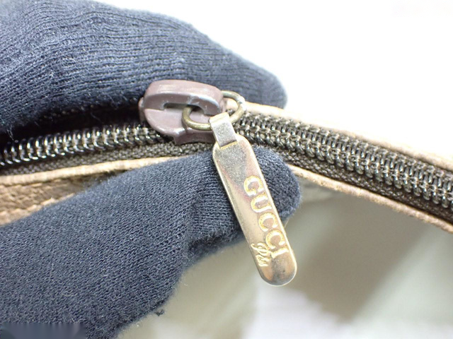 Gucci GG Plus Canvas