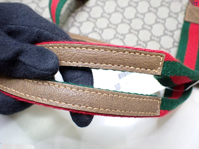 Gucci GG Plus Canvas