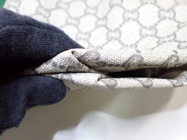 Gucci GG Plus Canvas