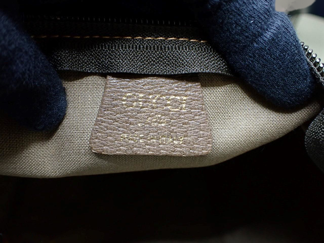 Gucci GG Plus Canvas