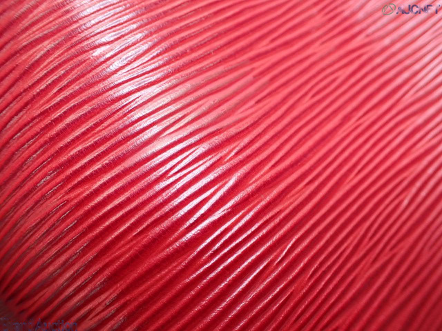 Louis Vuitton EPI Petit Noé