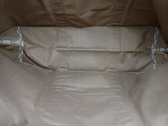 Gucci GG Plus Canvas