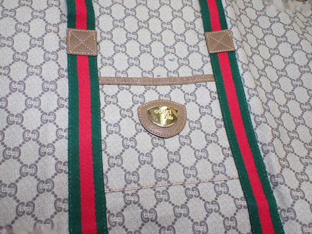 Gucci GG Plus Canvas